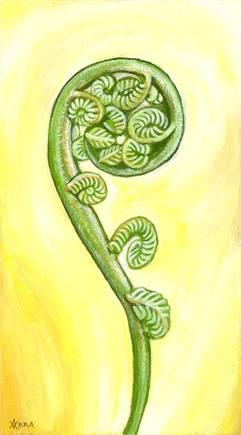 Fiddlehead Drawing, Fern Pictures, Leaves Reference, Fiddle Heads, Nz Flowers, Nz Artists, Jacob Sheep, Fern Prints, Fern Tattoo