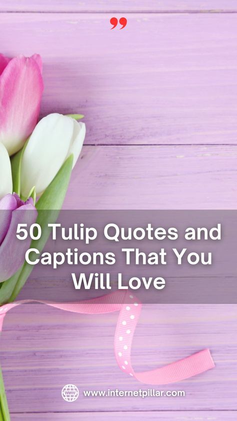 50 Tulip Quotes and Captions That You Will Love - Quotes about Tulip, Tulips quotes, quotes about flowers, flower quotes, life quotes, beauty quotes Tulip Quotes, Tulips Quotes, Quotes About Flowers, Flower Quotes Life, Bloom Quotes, Quotes Beauty, Flower Quotes, Best Motivational Quotes, Tulips Flowers