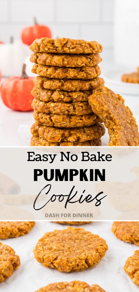 5 Ingredient Pumpkin Cookies, No Bake Pumpkin Pie Bites, Pumpkin No Bake Recipes, No Bake Pumpkin Cookies Oatmeal, Pumpkin Spice No Bake Cookies, No Bake Pumpkin Breakfast Bites, Pumpkin Desserts Without Eggs, Fast Pumpkin Desserts, 1 Can Pumpkin Recipes