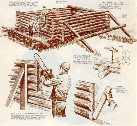 I have for many years dreamed of building a log cabin. From time to time I watch a video I burned to DVD - Alone In The Wilderness . It is a... How To Build A Log Cabin, Log Cabin Living, Small Log Cabin, Outdoor Gazebo, Cubby House, Cabin Living, Popular Mechanics, Cabin In The Woods, Cabins And Cottages