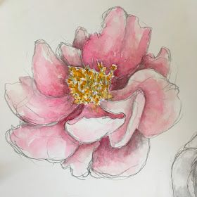 JaneVille: From my Sketchbook ~ Peonies! I love peonies. (and a mini-tutorial) Jane Lafazio, Zen Doodles, Watercolor Journal, Pencil Sketches, Plant Painting, My Sketchbook, Watercolor Palette, Doodle Lettering, Watercolour Tutorials