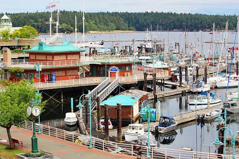 10 Top-Rated Things to Do in Nanaimo, B.C. | PlanetWare Things To Do In Nanaimo Bc, Nanaimo Canada, Travel Vancouver Island, Travel Vancouver, Ucluelet Bc, Stanley Park Vancouver, Nanaimo Bc, Stanley Park, What To Do Today