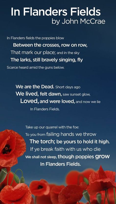 Flanders Fields Poem, Remembrance Day Poems, Remembrance Day Quotes, In Flanders Fields, Remembrance Day Art, John Mccrae, I Am Canadian, Flanders Field, Remembrance Sunday