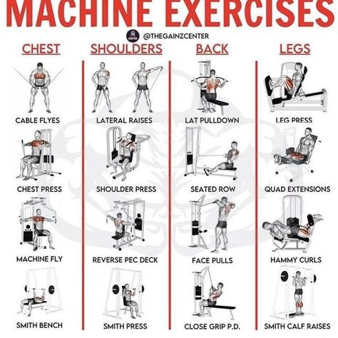 Ball Core Exercises, Starter Workout Plan, Circuit Workout Gym, Weight Machine Workout, Mexican Illustration, Starter Workout, Appetizer Decoration, Gym Workouts Machines, Core Workout Gym