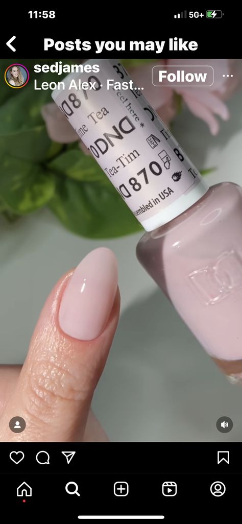 Dnd Satin Barbie, Opi Gel Combinations, Gender Neutral Nails For Delivery, Dnd Nude Escape, Gel X Nail Colors, Dnd Nail Designs, Neutral Round Nails, Dnd Gel Polish Colors Neutral, Neutral Gel Nail Colors