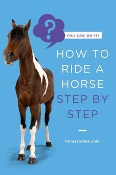 Horseback Riding For Beginners, Horse Riding For Beginners, Horse Riding Tips For Beginners, Horse For Beginners, How To Ride A Horse, Horseback Riding Outfit, Equestrian Stables, Ride A Horse, Horseback Riding Tips