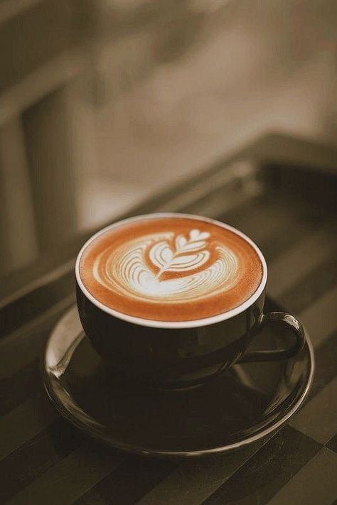 Opening A Coffee Shop, Coffee Latte Art, Coffee Gif, Cozy Coffee Shop, Coffee Roastery, Coffee Barista, Coffee Shop Aesthetic, Coffee Wallpaper, Coffee Roaster