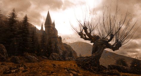 ً on Twitter: "autumn at hogwarts… " Harry Potter Fall Aesthetic Wallpaper, Harry Potter Fall Aesthetic, Harry Potter Fall, Harry Potter Pc, Fall Iphone Wallpaper, Fall Aesthetic Wallpaper, November Wallpaper, Gryffindor Aesthetic, Hufflepuff Aesthetic