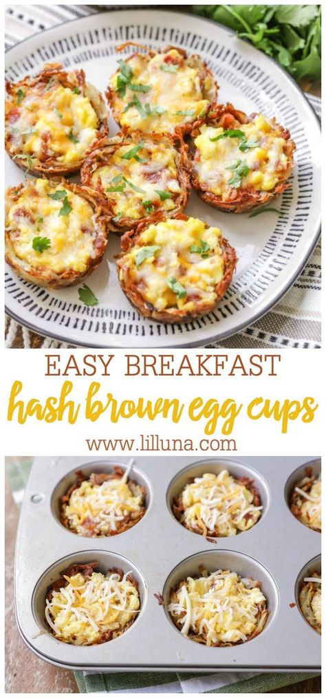 Breakfast Gathering, Hash Brown Egg Cups, Egg Cups Recipe, Brown Egg, Egg Cups Breakfast, Breakfast Hashbrowns, Hashbrown Recipes, Tasty Breakfast, Brown Eggs