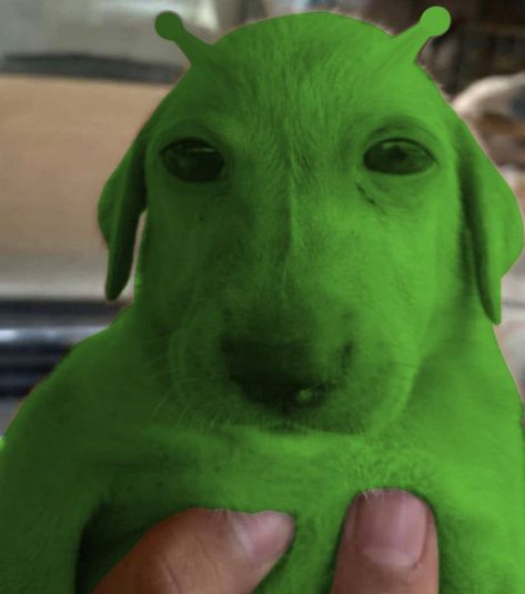 Gleep Glorp, Silly Alien, Alien Animals, Gnarp Gnarp, Aliens Guy, Goofy Drawing, Cute Alien, Funny Dog Memes, Roblox Funny