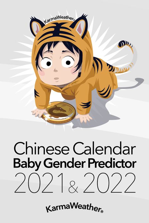 Chinese Calender Gender, Mayan Calendar Gender, Chinese Baby Calendar, Gender Calculator, Chinese Pregnancy Calendar, Chinese Birth Chart, Chinese Gender Calendar, Chinese Gender Chart, Baby Gender Calendar