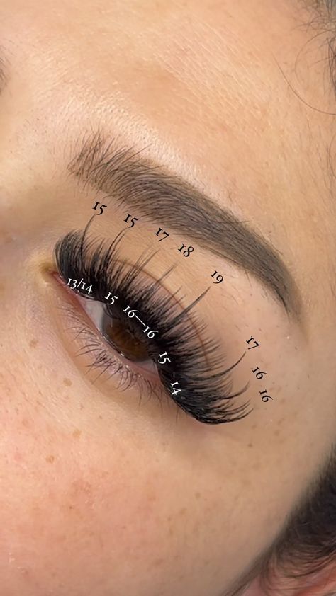 Dramatic Lash Extensions Map, Wispy Russian Lashes, Anime Lash Extensions Mapping, Wispy Cat Eye Lash Extensions Map, Wispy Volume Lash Extensions Map, Wispy Eyelash Extensions Map, Volume Lash Extensions Mapping, Last Extensions, Doll Eye Volume Lash Extensions