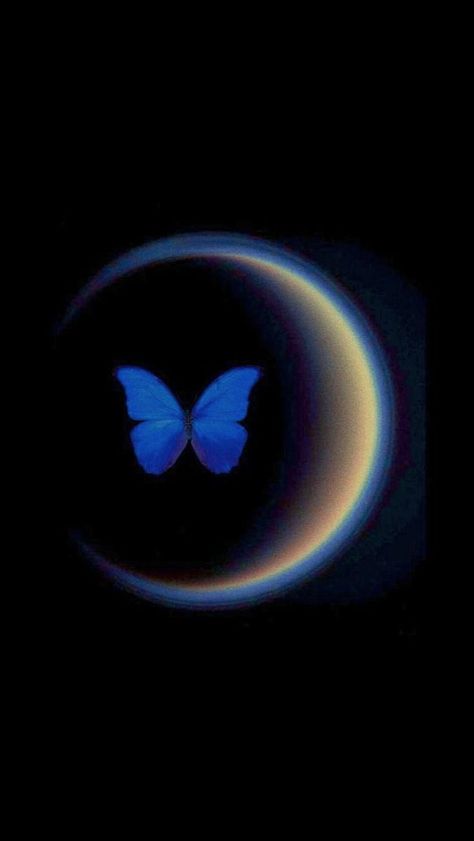 Pookie Wallpapers, Blue Butterfly Wallpaper, Dark Purple Wallpaper, Butterfly Wallpaper Iphone, Witchy Wallpaper, Simple Phone Wallpapers, Trending Pins, Iphone Wallpaper Photos, Iphone Wallpaper Themes