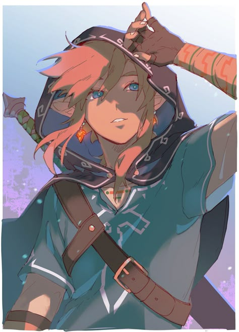 Zelda Aesthetic, Link Breath Of The Wild, Link Fan Art, Zelda Botw, Link Art, Link Zelda, Zelda Art, Legend Of Zelda Breath, Zelda Breath