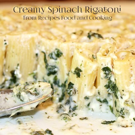 Creamy Spinach Rigatoni - Recipes Food and Cooking Rigatoni Casserole, Spinach Rigatoni, Vegetable Lasagna Recipe, Creamy Spinach Sauce, Spinach Sauce, Rigatoni Recipes, Spinach Dip Recipe, Lasagna Recipes, Small Eggplant