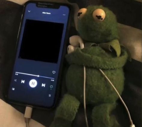 Music Memes Funny, Template Meme, Funny Face Photo, Playlist Covers Photos, Music Cover Photos, Kermit Funny, Not Musik, Pink Venom, Reaction Face