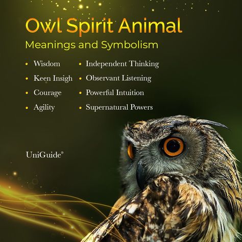 Owl Spirit Animal Meaning, Universal Signs, Animal Totem Spirit Guides, Owl Symbolism, Small Wave Tattoo, Spirit Animal Meaning, Animal Meanings, Spirit Animal Totem, Spiritual Animal