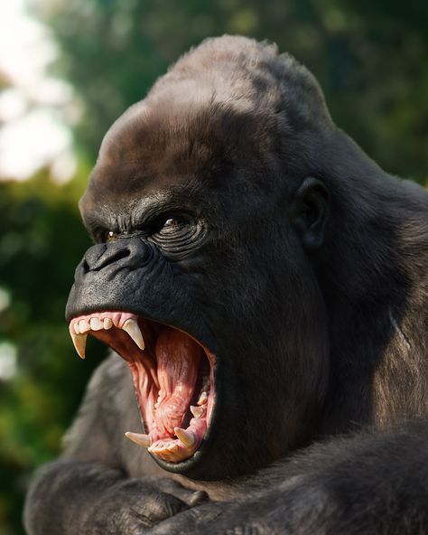 Realistic Angry Gorilla - ZBrushCentral Gorilla Wallpaper, Angry Gorilla, Gorillas Art, Gorilla Tattoo, Angry Animals, Strongest Animal, Silverback Gorilla, Mountain Gorilla, Great Ape