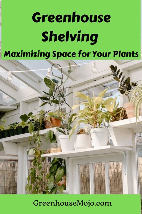 Greenhouse shelving maximizes space for your plants. Learn about shelf types, planning, maintenance ,and mistakes to avoid. Shelving In Greenhouse, Maximize Greenhouse Space, Greenhouse Shelving Ideas, Diy Greenhouse Shelves, Greenhouse Shelving, 6x8 Greenhouse, Greenhouse Accessories, Greenhouse Tips, Greenhouse Planting