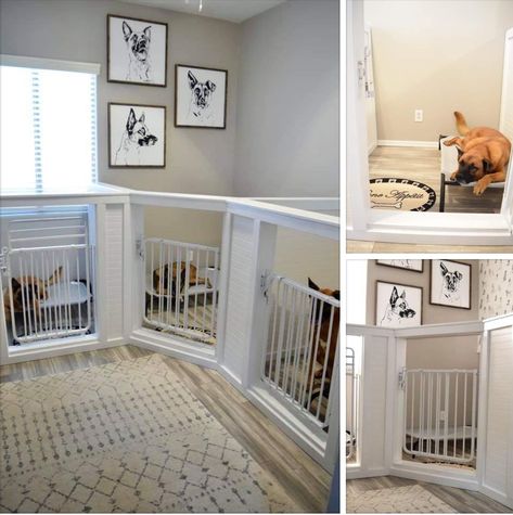 Built in dog crate Built In Dog Crate, Diy Dog Room, Kennel Room, Indoor Dog Room, Dog Daycare Design, Dog Room Design, Dog Breeding Kennels, Dog Daycare Business, Unique Dog Beds