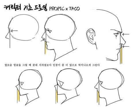 When drawing a side profile, the philtrum (the thick flesh on top of the lip) usually protrudes more than the starting point of the nose. Profile Drawing, 얼굴 드로잉, Anatomy Tutorial, Nose Drawing, Human Anatomy Drawing, 얼굴 그리기, Body Drawing Tutorial, Drawing Examples, Manga Drawing Tutorials