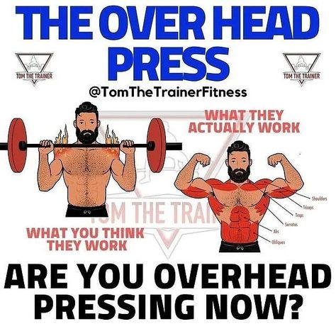 Instagram post by GYM | FITNESS | NUTRITION • Oct 18, 2021 at 11:06am UTC Deltoids Workout, Lifting Memes, Push Pull Workout, Deltoid Workout, Shoulder Workout Routine, Crossfit Nutrition, Shoulder Training, Strength Training Program, Workout Splits