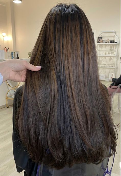 Not Styled Haircut, Straight Haircut For Long Hair, Asian Balyage Long Hair, Long One Length Haircut, Long Haircut Ideas Straight, Long Subtle Layers, Natural Hair Colors To Dye Your Hair, Straight Asian Hair, Long Layers Straight