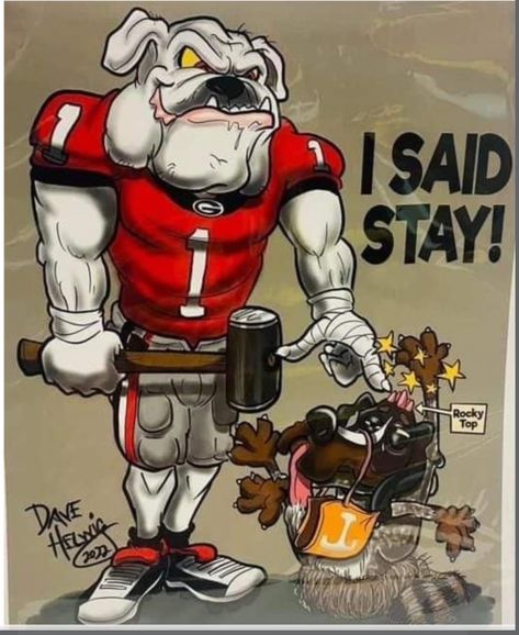 Uga Vs Tennessee, College Sports Graphics, Dawgs Football, Georgia Tech Football, Georgia Bulldawgs, Gamecocks Football, Taylor Gifts, Uga Football, Uga Bulldogs