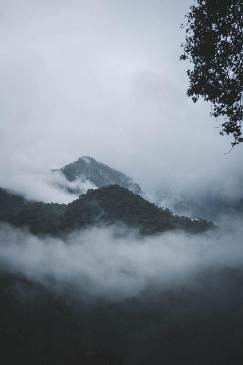 #mountains #fog #landscape #nature Mountains Fog Aesthetic, Foggy Landscape Aesthetic, Foggy Mountains Photography, Mountain Fog Aesthetic, Foggy Aesthetic Hill, Gloomy Mountain Aesthetic, Landscape Photography Mountain, Foggy Mountain Aesthetic, Gloomy Mountains