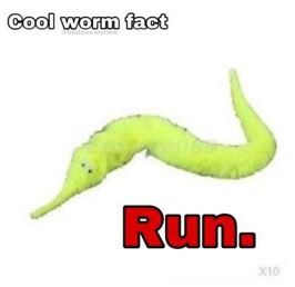 Worm Facts, I Need Jesus, Funny Doodles, Lose My Mind, Really Funny Pictures, Blonde Bob, Bob Cut, Food Food, Reaction Pictures