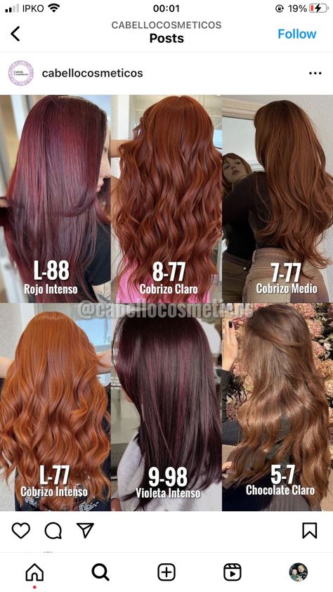 Igora Hair Color Brown, Igora Color Chart, Cabello Color Chocolate Claro, Pelo Color Chocolate, Igora Hair Color, Cherry Brown Hair, Pelo Chocolate, Sleek Short Hair, Cherry Hair Colors