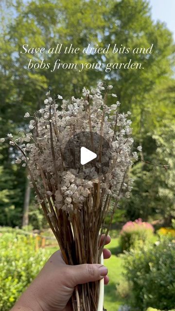 Christina Koether | NOMADICA™ on Instagram: "I’m saving all the garden bits to do an even bigger version of this collected garden winter door decoration this November.
 
It’s not just alliums and hydrangeas, although they do some heavy lifting. You need all the magical things too like these dried muscari pods and I also love Camassia and echinacea once the seeds have been scattered or eaten by the birds

#falliscoming #gathered #gardeninspiration" Winter Door Decoration, Garden Winter, Winter Door Decorations, Winter Door, Fall Is Coming, Magical Things, Heavy Lifting, Door Decoration, The Birds