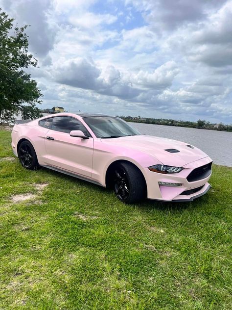 Light Pink Mustang, Pink Ford Fusion, Pink Camaro, Pink Mustang, Pink Corvette, Mustang Girl, Pink Cars, Car For Teens, Cool Car Accessories