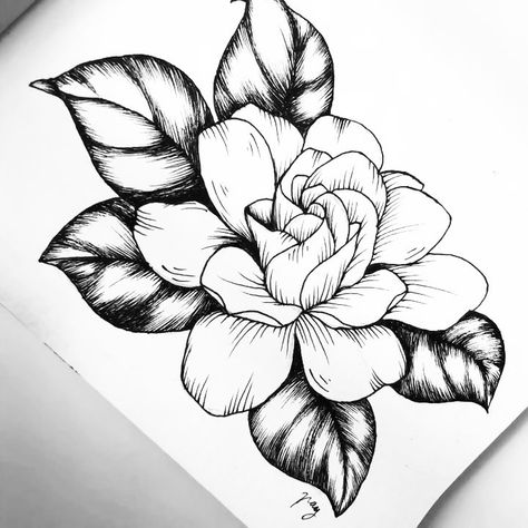 Akbaly on Instagram: “.: Gardenia :. . Here’s a process video of this lovely flower. Did you know Gardenias are an evergreen flowering plant of the coffee family…” Gardenia Sketch, Gardenia Flower Tattoo, Gardenia Tattoo, Key Tattoo Designs, Flower Tattoo Stencils, Peony Drawing, Gardenia Flower, Flower Drawing Tutorials, Flower Tattoo Shoulder