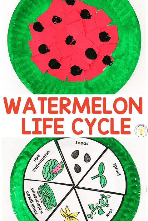 The Watermelon Seed Activities, Watermelon Theme Preschool Activities, Watermelon Day Kindergarten, Watermelon Lesson Plans Preschool, Watermelon Activities For Kindergarten, Watermelon Preschool Craft, Watermelon Crafts Preschool, Watermelon Crafts For Toddlers, End Of The Year Crafts For Preschoolers