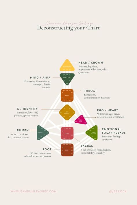 In your Human Design chart you’ll see a graph that contains 9 centers. Depending on your chart some centers might be coloured in (defined) and some might be not (undefined/open)

Each center represents an energy hub.

Find out more about each here Human Design Profile, Human Design Chart, What Is Human, Human Design System, Tarot Astrology, Design 101, Human Design, Birth Chart, Spiritual Healing