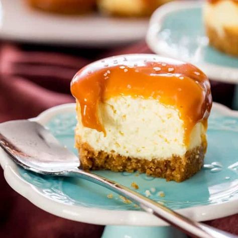 Sophisticated Desserts, Caramel Cheesecake Bites, Caramel Cheesecake Recipes, Cheesecake Caramel, Salted Caramels, Snickers Cheesecake, Sarah Graham, Doughnut Muffins, Cheesecake Trifle