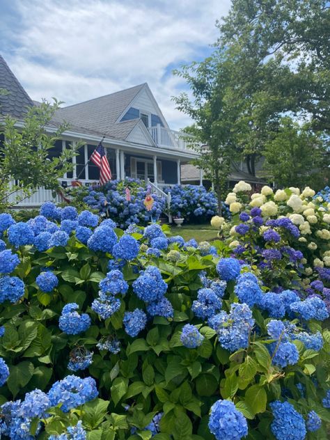 Hydrangeas Nantucket, East Coast Preppy, Preppy Nantucket, Nantucket Hydrangea, Marthas Vineyard Aesthetic, Hydrangeas Flowers, England Houses, Nantucket Style Homes, Nantucket Cottage