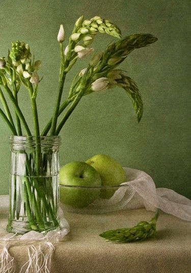 Green Still Life Photography, Green Apple Painting, Green Still Life, Green Cottage, Art Coquillage, Green Apples, Still Life Photos, Apple Fruit, Painting Still Life