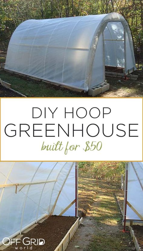 How to build a hoop greenhouse Hoop House Greenhouse, Hoop Greenhouse, Diy Hoop House, Greenhouse Projects, House Greenhouse, Greenhouse Frame, Greenhouse Farming, Hoop House, Diy Greenhouse Plans