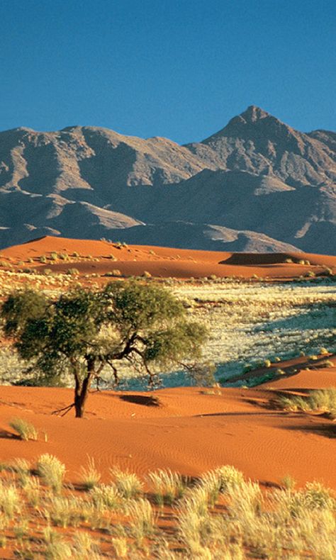 African Desert Landscape, West African Landscape, African Desert Aesthetic, African Scenery Landscapes, Egypt Landscape Photography, Middle Eastern Landscape, African Nature Aesthetic, Nigerian Landscape, African Landscape Photography