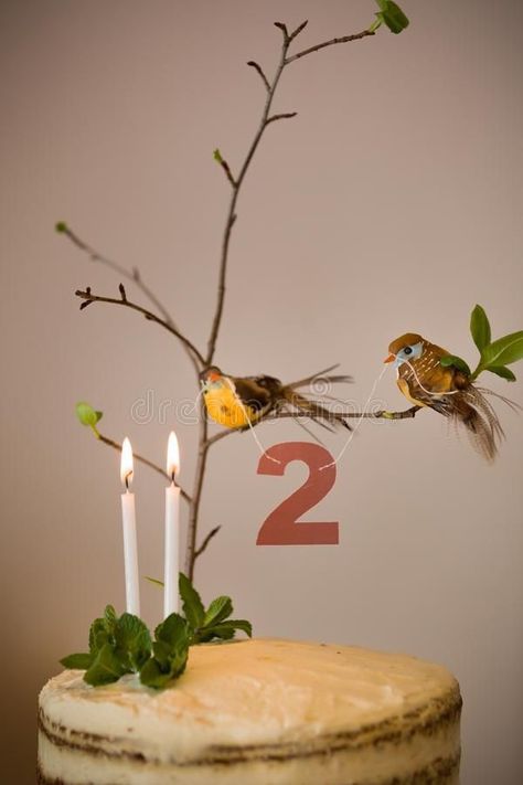 Bird Themed Birthday Cake, Three As A Bird Birthday, Natural Birthday Decorations, Bird Cakes Birthday, Bird Birthday Theme, Bird Cake Ideas, Nature Birthday Cake, Cake With Birds, Bird Themed Birthday Party