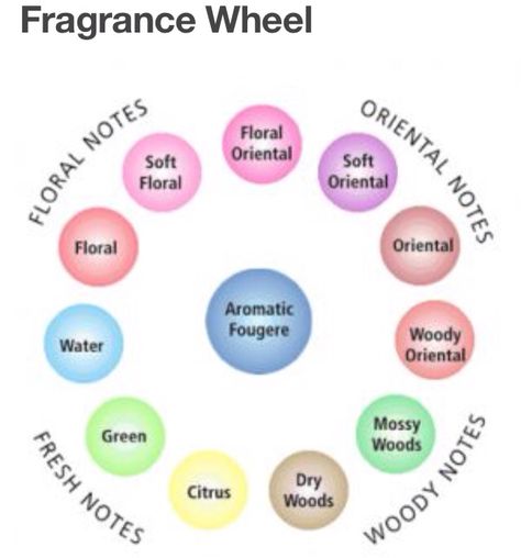 Perfume Wheel Fragrance Wheel, Candle Scents Recipes, Diy Candles Scented, Diy Perfume, Essential Oil Benefits, Perfume Making, Natural Perfume, Solid Perfume, Luxury Fragrance