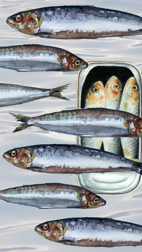 #sardines #sardine #sardinewallpaper #sardinetrend #sardineswallpaper #fish #fishy #fishwallpaper #fishywallpaper Aesthetic Fish, Painting Projects, Doodle Art, Art Journal, Doodles, Fish, Art