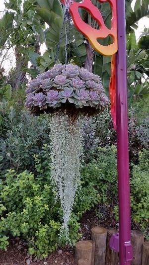 Hanging Plants On Fence, Pot Gantung, Vertical Vegetable Gardens, Flowers Hanging, Basket Diy, نباتات منزلية, Pot Design, Hanging Succulents, Vertical Gardens