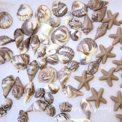 How to make chocolate shells Candy Seashells, Candy Station Wedding, Chocolate Seashells, Shell Chocolate, Wedding Table Deco, Camp Party, Aquarium Wedding, Gluten Free Candy, Candy Station