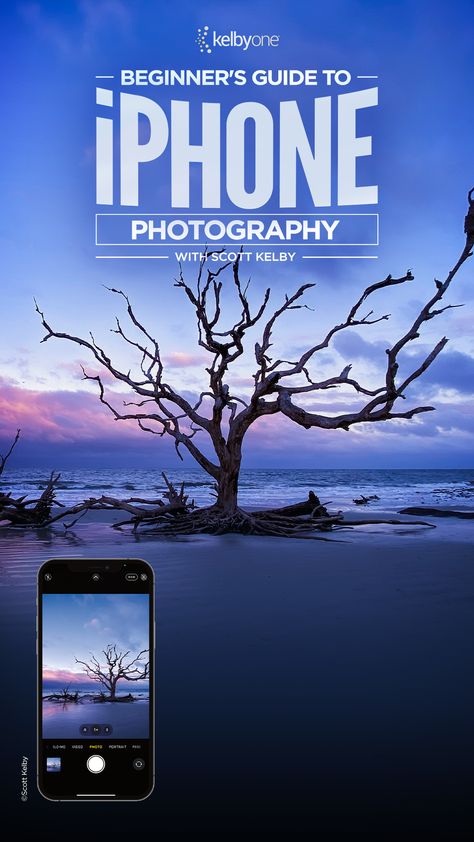 Want to capture breathtaking photos with your iPhone? 🤳 Join Scott Kelby's Beginner's Guide to iPhone Photography and learn over 20 tips and techniques to help you take your iPhone photography to the next level. 🚀 https://members.kelbyone.com/course/scott-kelby-beginners-iphone-photography/ Photography For Dummies, Iphone Photography Tips, Photo Organization Storage, Iphone Photo Editor, Iphone Codes, Online Photography Course, Cell Phone Photography, Improve Photography, Photo Hacks