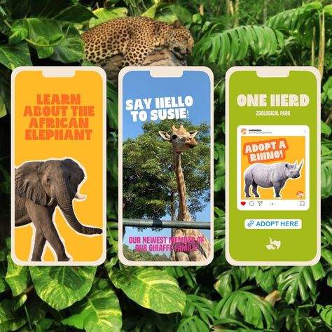 Part 2 of One Herd - Zoological Park🦁 One Herd is a zoo that also hosts special events and fundraisers to educate on and advocate for endangered species🦜 Brief by @clubdillydally #dillydallyoneherd 🦭Deliverables: - Posters & Billboards - Zoo Map - Staff Badges - Social Media Assets (Feed & Story) by Klaro 🤍 #brand #branding #brandbrief #branddesign #branddesignstudio #branddesigner #branddevelopment #brandingdesign #brandinginspiration #brandingagency #brandingidentity #brandingstra... Zoo Website, Zoo Marketing, Zoo Photography, Social Media Assets, Zoo Map, Zoo Design, Giraffe Family, African Elephant, Brand Development