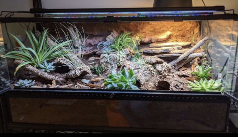 Leopard Gecko Cage, Leopard Gecko Enclosure, Gecko Cage, Gecko Enclosure, Gecko Vivarium, Leopard Gecko Habitat, Leopard Gecko Tank, Leopard Gecko Care, Gecko Habitat