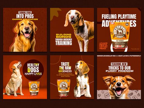 Pet Food Banner | Dogs Food Post | Social Media Post by E Faysal Dog Social Media Post, 2023 Social Media Post, 2023 Social Media, Pet Advertising, Lab Image, Packaging And Label, Food Post, Food Banner, Social Media Advertising Design